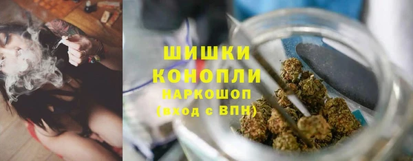 амф Арсеньев