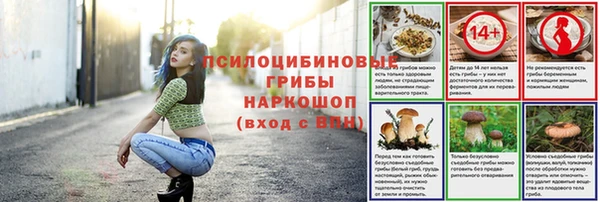 мяу мяу мука Армянск