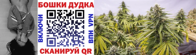 наркота  Аксай  Каннабис OG Kush 
